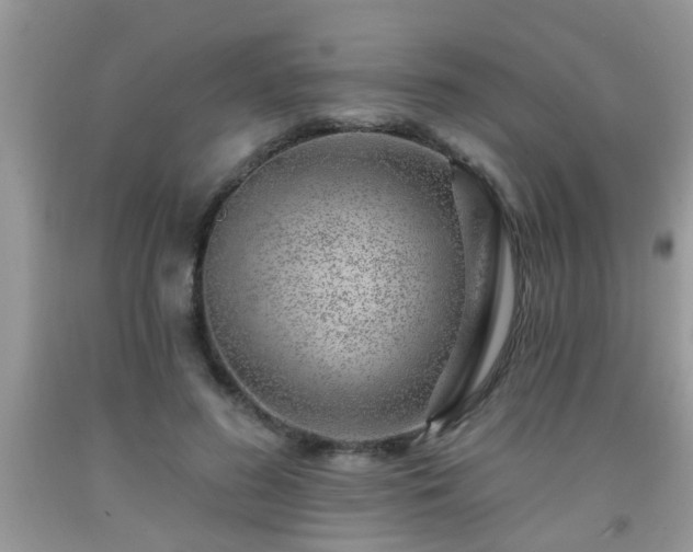 X0000092040596200709191102