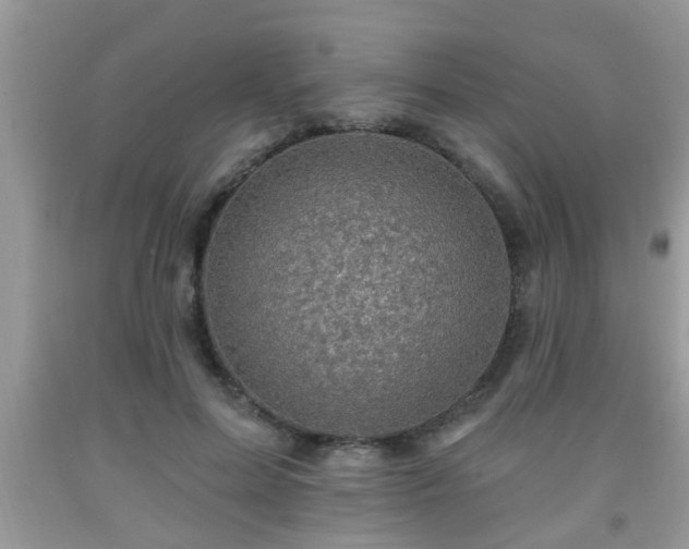 X0000092040599200709191102