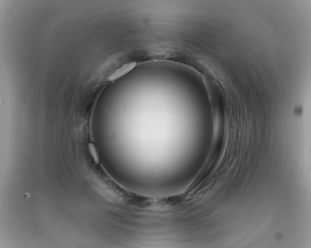 X0000092040601200709191102