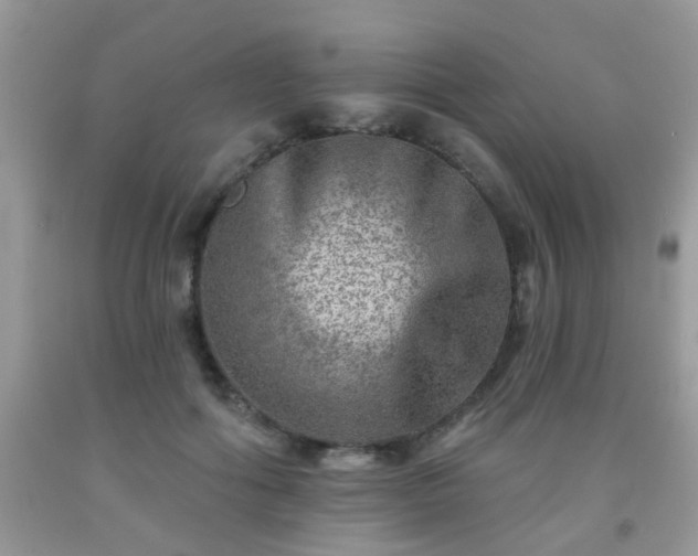 X0000092040602200709191102