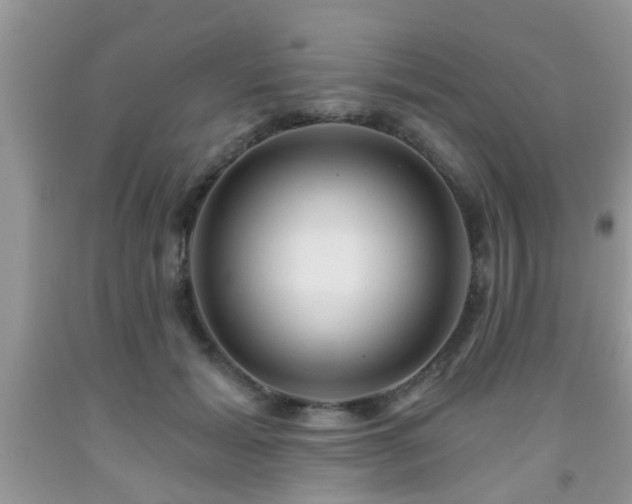 X0000092040605200709191102