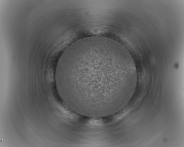 X0000092040606200709191102