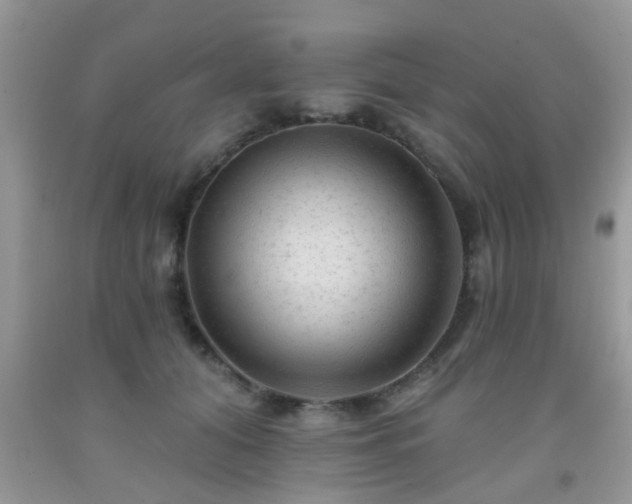 X0000092040608200709191102