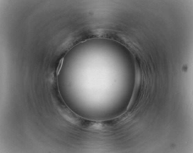 X0000092040611200709191102