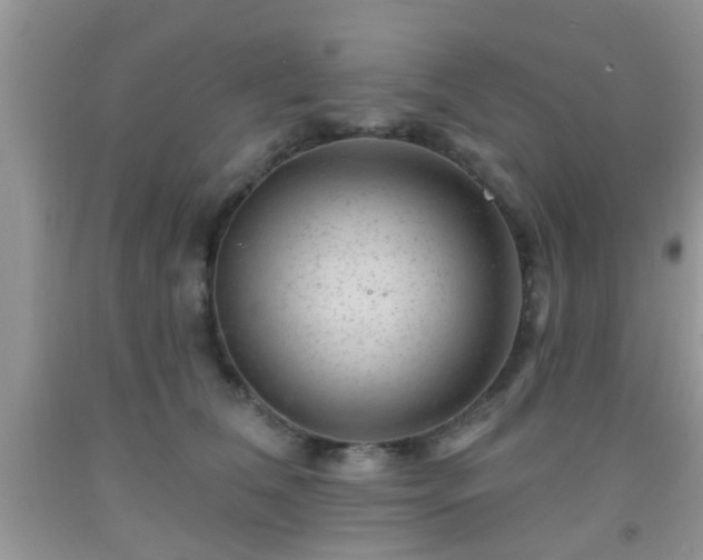 X0000092040612200709191102