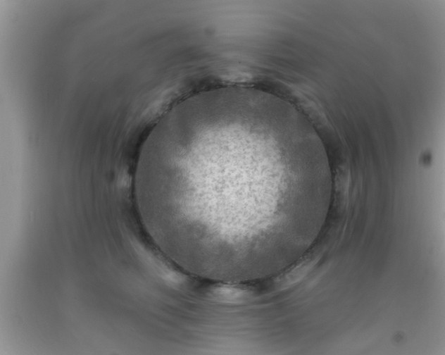 X0000092040614200709191102