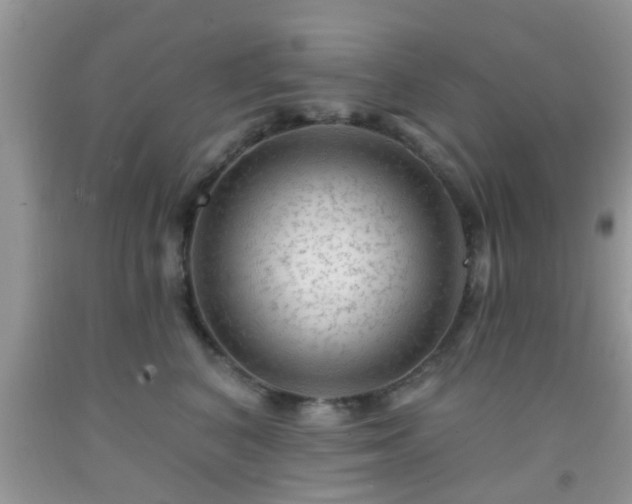 X0000092040616200709191102