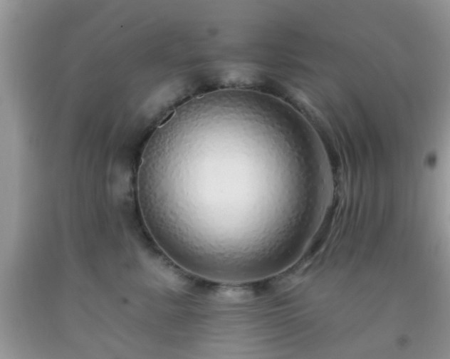 X0000092040619200709191102