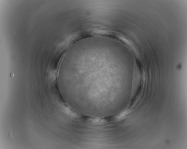 X0000092040621200709191102