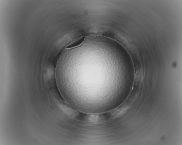 X0000092040623200709191102