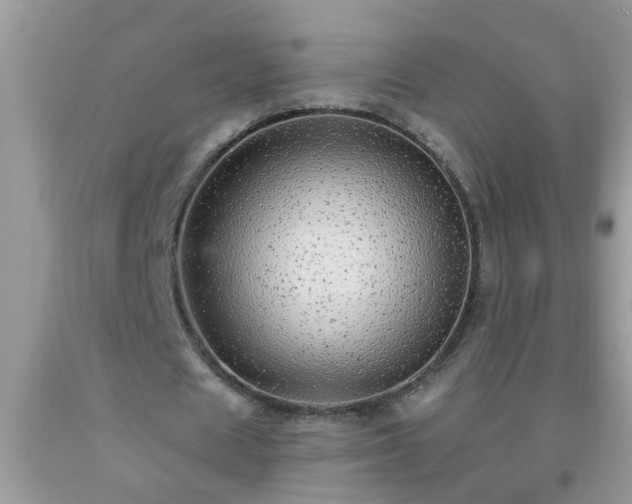 X0000092040625200709191101