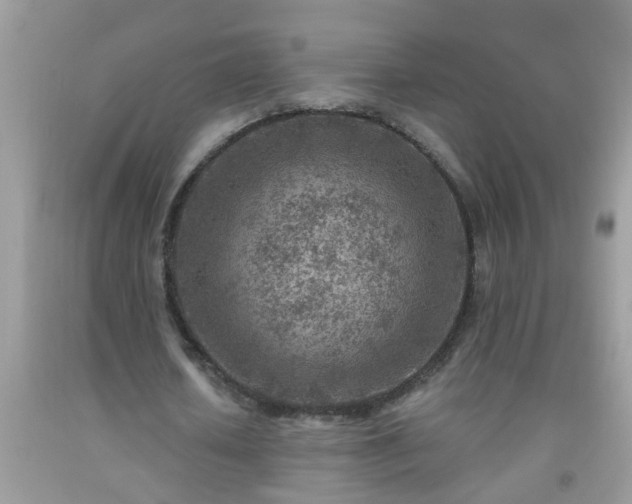 X0000092040626200709191101