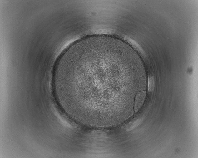 X0000092040627200709191101