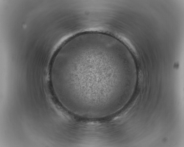 X0000092040628200709191101