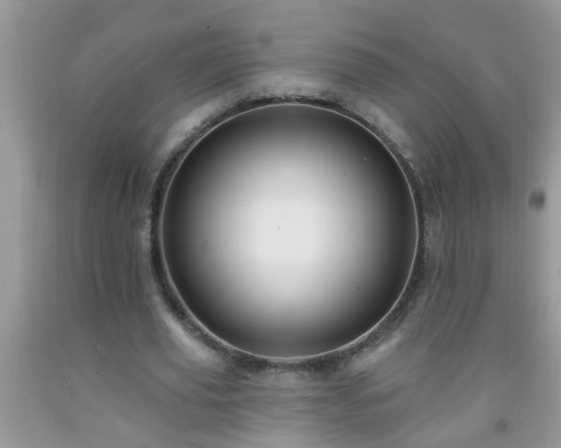 X0000092040629200709191101