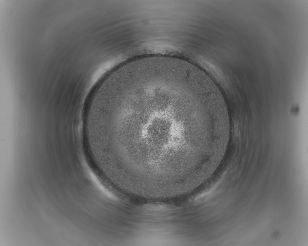 X0000092040630200709191101