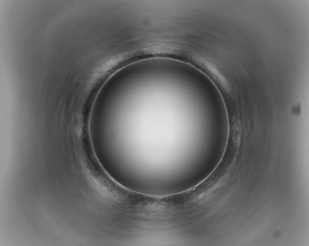 X0000092040631200709191101