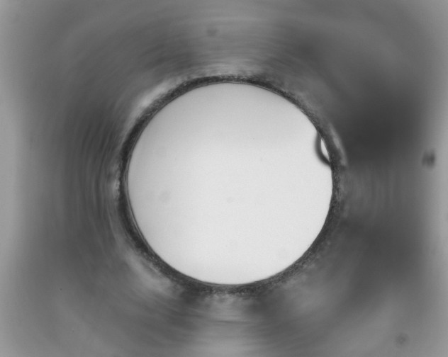 X0000092040632200709191101