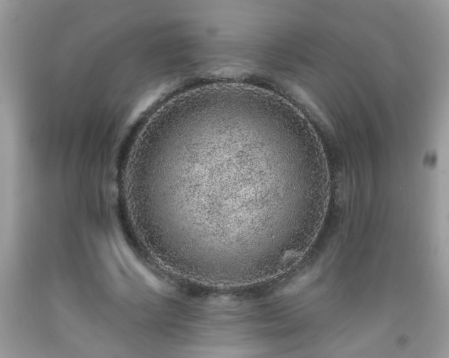 X0000092040634200709191101