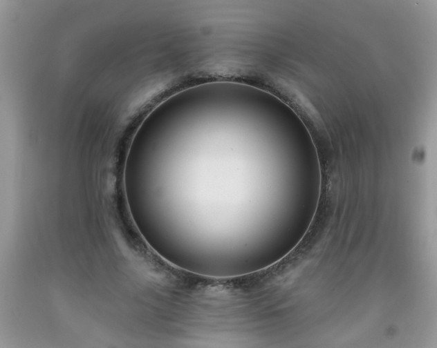 X0000092040635200709191101