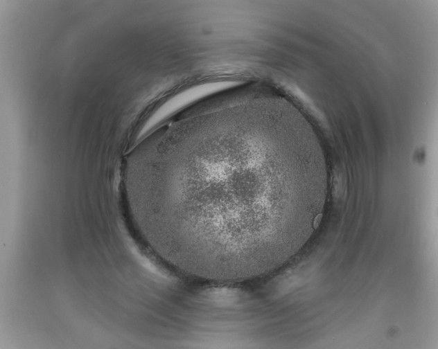 X0000092040637200709191101