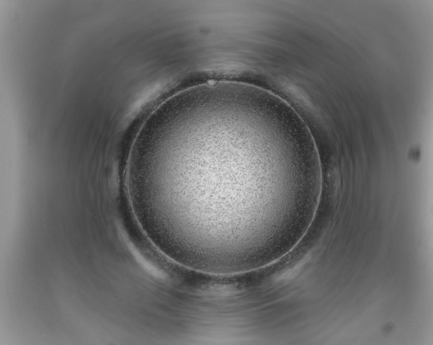 X0000092040638200709191101