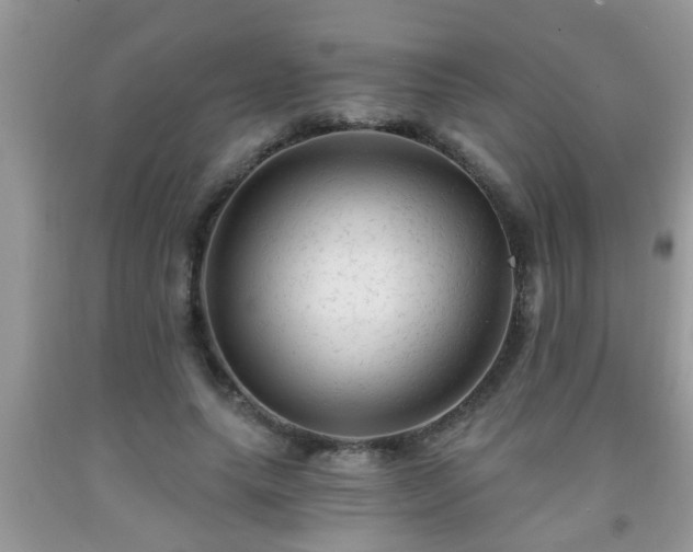 X0000092040639200709191101