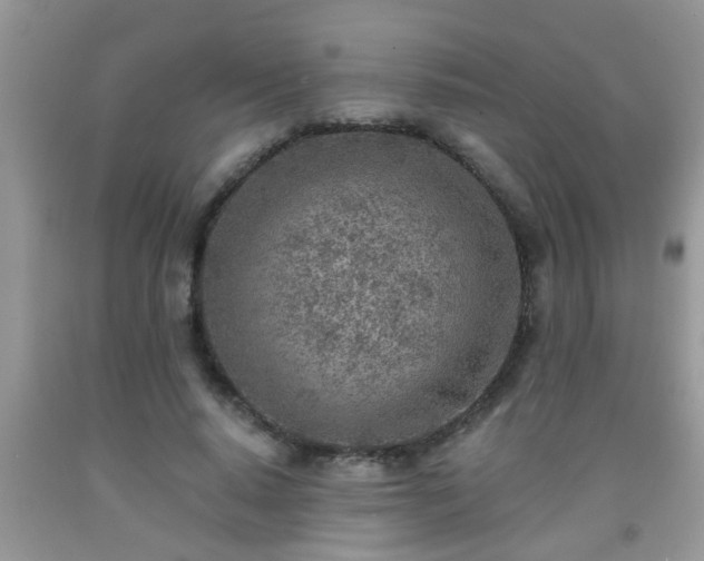 X0000092040640200709191101