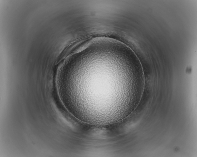 X0000092040642200709191101