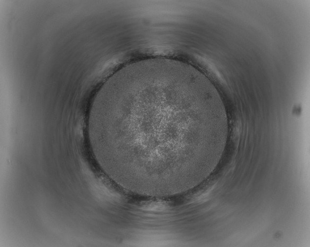 X0000092040643200709191101