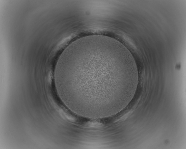 X0000092040644200709191101