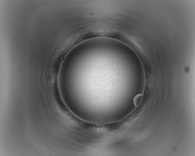 X0000092040645200709191101