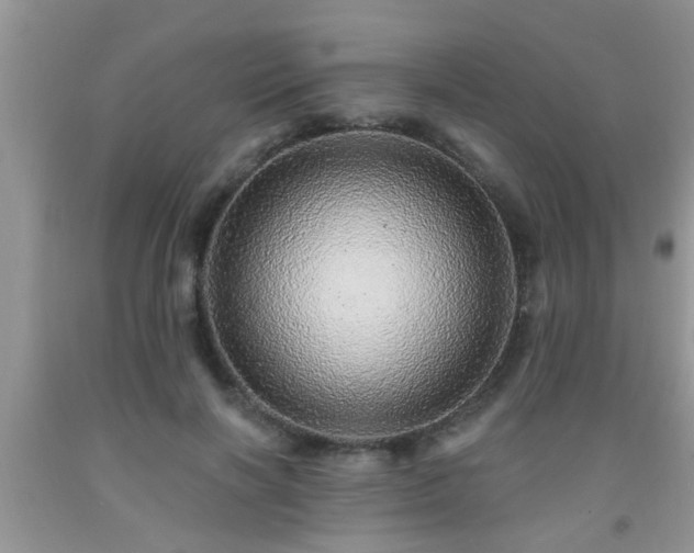 X0000092040646200709191101