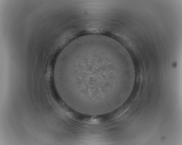 X0000092040647200709191101