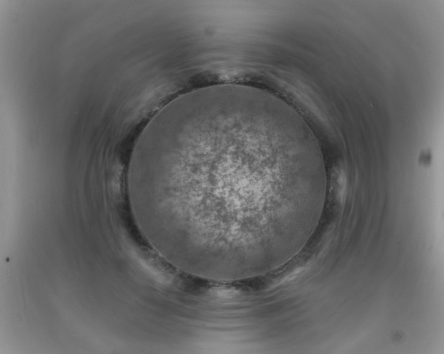 X0000092040650200709191101