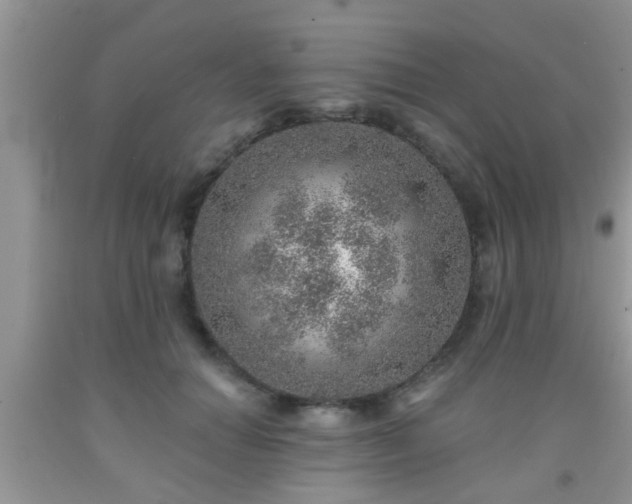 X0000092040654200709191101