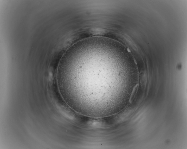 X0000092040655200709191101