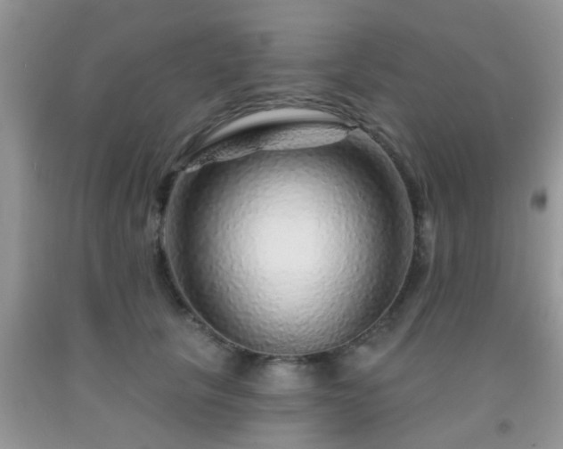 X0000092040657200709191101