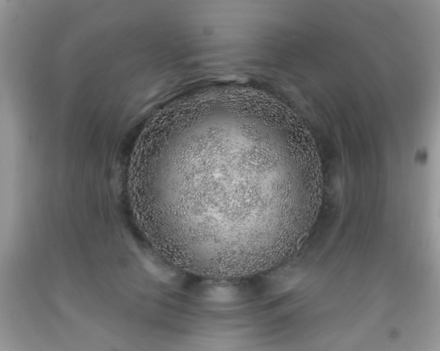 X0000092040658200709191101