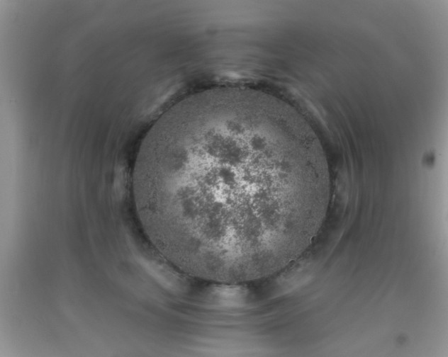 X0000092040659200709191101