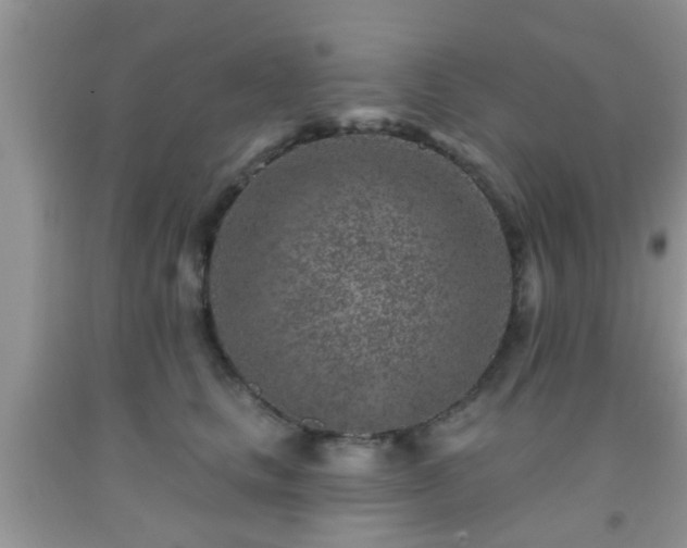 X0000092040661200709191101