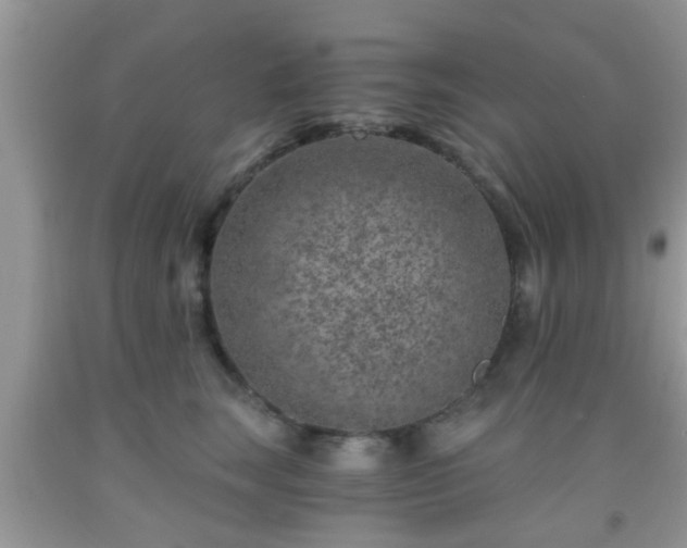 X0000092040663200709191101