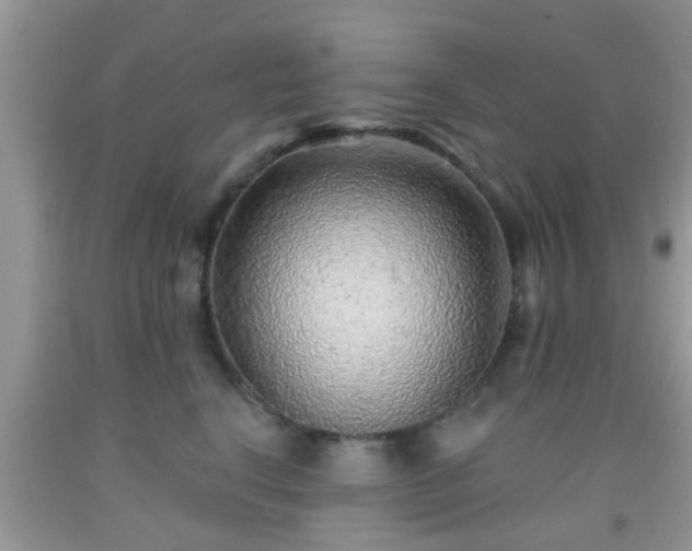 X0000092040664200709191101