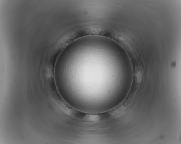 X0000092040665200709191101