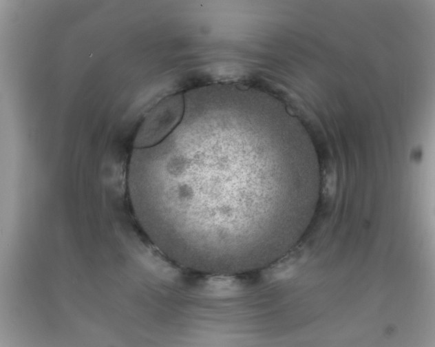 X0000092040666200709191101