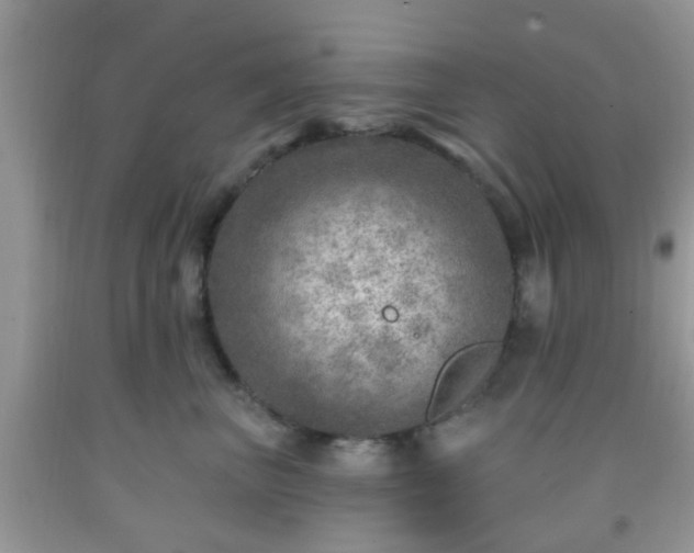 X0000092040667200709191101