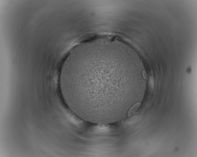 X0000092040668200709191101