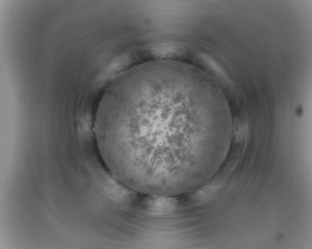 X0000092040670200709191101