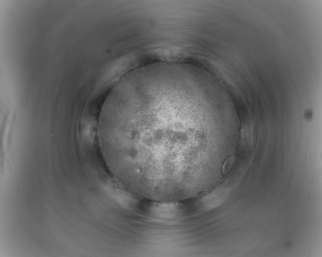 X0000092040671200709191101