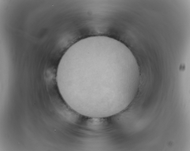 X0000092040672200709191101